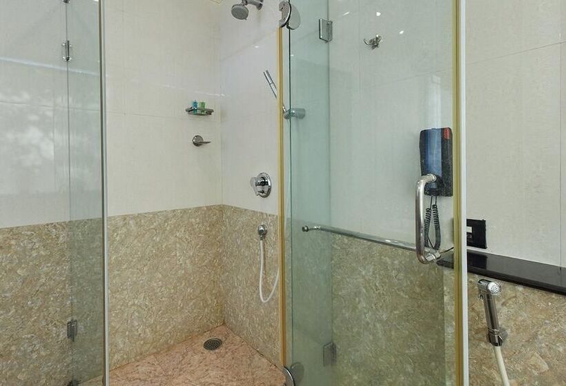 Полулюкс, Royalton Hyderabad Abids