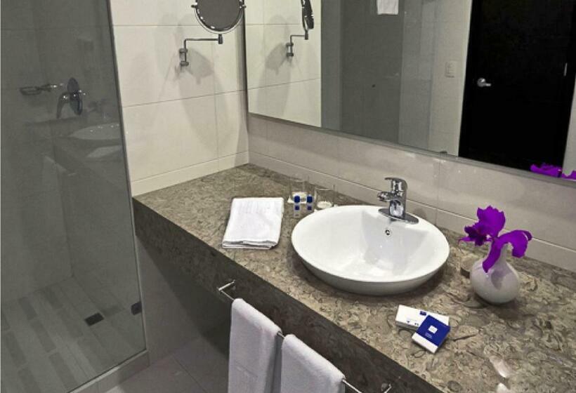 스탠다드 트리플 룸, Tequendama Hotel Medellín   Estadio