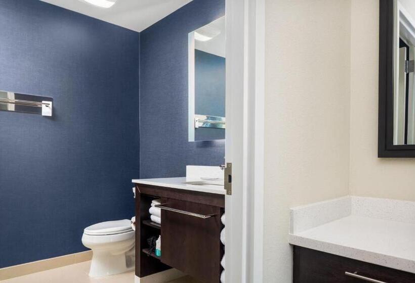 سوئیت با تخت بزرگ, Residence Inn By Marriott Decatur Emory Area