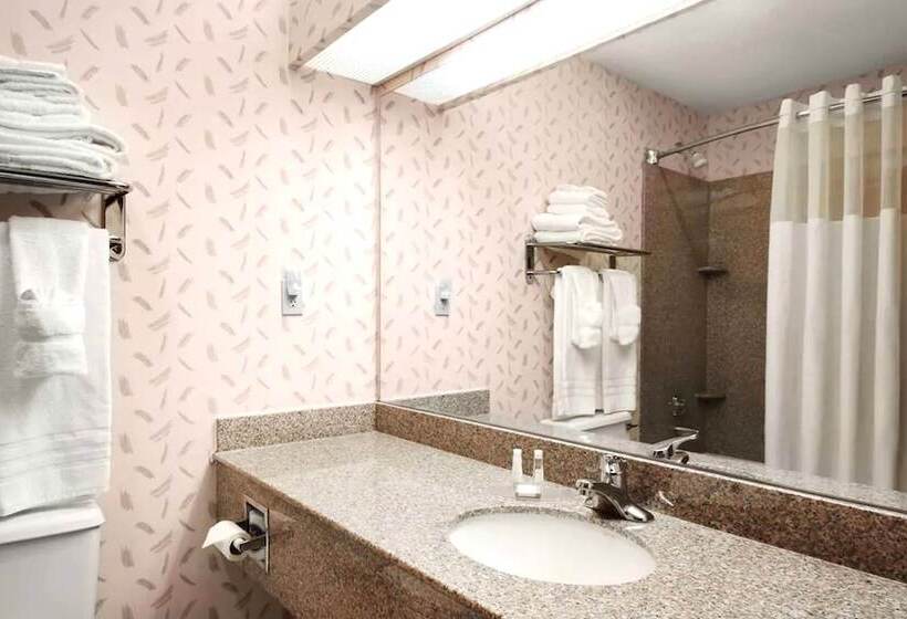 Номер Deluxe, Sky Palace Inn Anthony