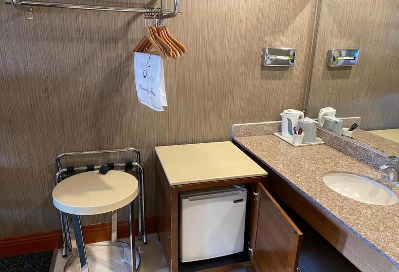 스탠다드 룸 킹사이즈 침대, New Century Inn