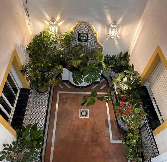 Номер Стандарт Индивидуальный, Hostal San Felipe