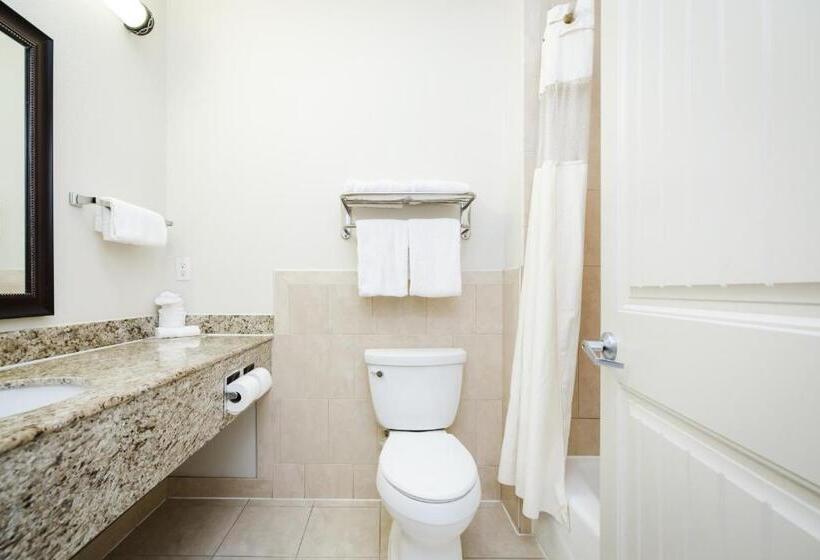 חדר סטנדרט עם מיטת קינג, Best Western Sugar Land   Richmond