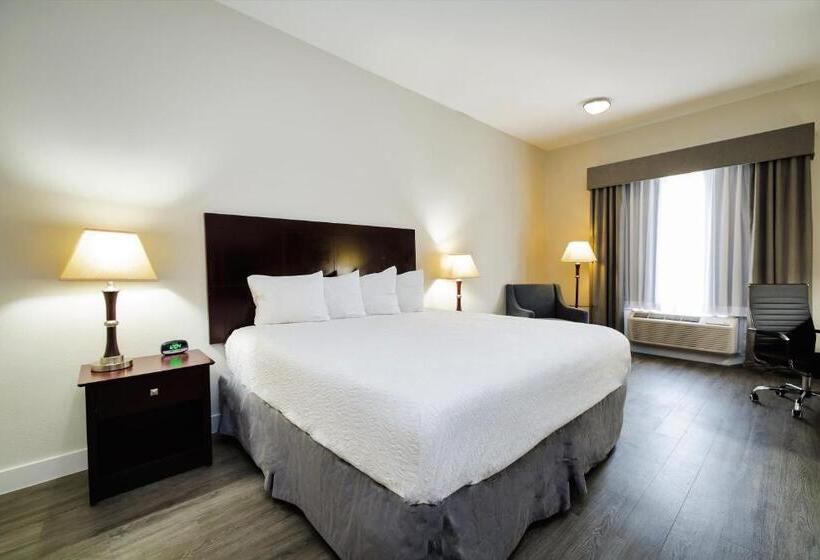 חדר סטנדרט עם מיטת קינג, Best Western Sugar Land   Richmond