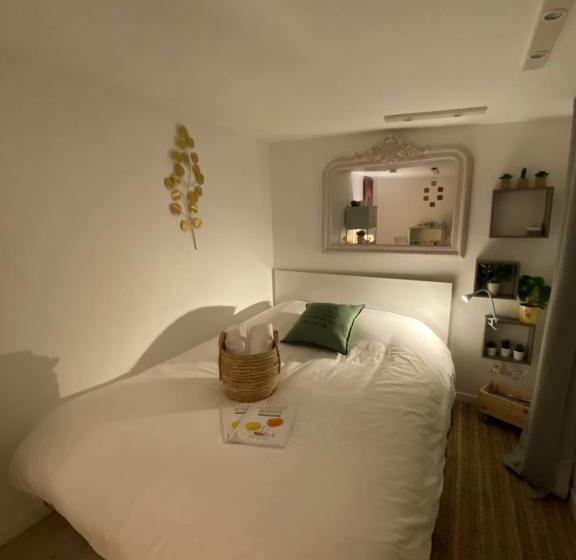 اتاق استاندارد, Choupy’cosy