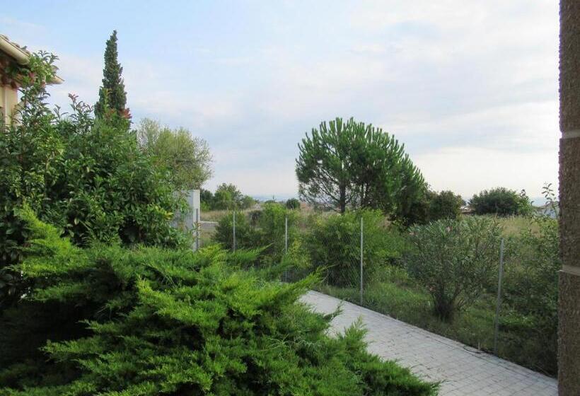 Номер Стандарт, Les Capriers