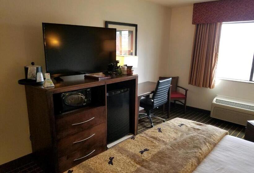 스탠다드 룸 킹사이즈 침대, Best Western Plus Eagleridge Inn & Suites
