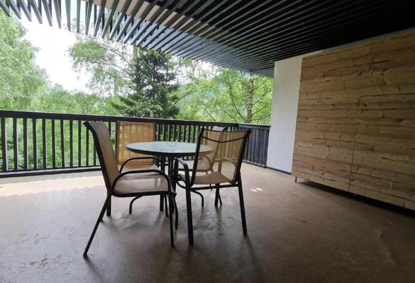 Апартаменты 2 Спальни, Apartment Privat Aparthotel Alpin Fara Mic Dejun Si Fara Acces Spa