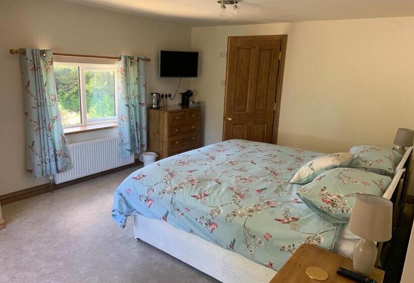 Номер Deluxe, Slerra Hill Bed And Breakfast, Clovelly
