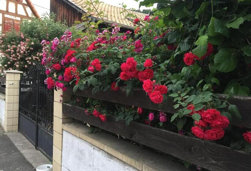 Quarto Estandar, Chambre Spacieuse Dans Joli Village Alsacien