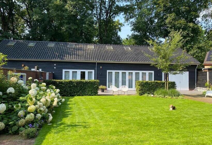 اتاق استاندارد با تخت بزرگ, Bed & Breakfast De Oude Kapel