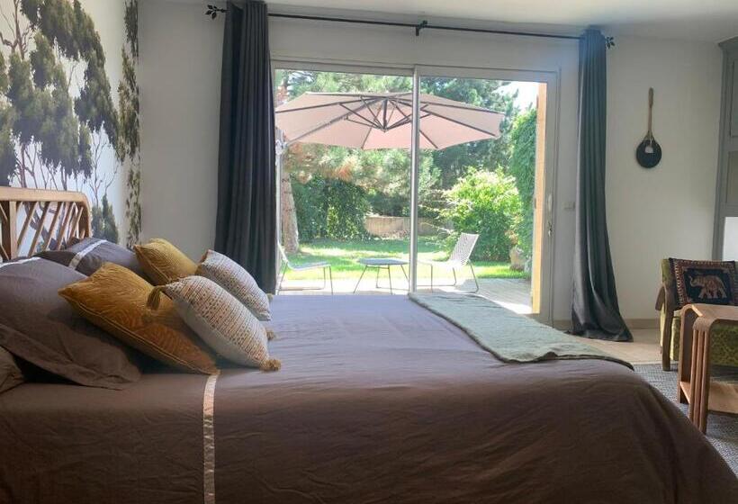 Номер Стандарт, Chambre En Drôme Tropicale