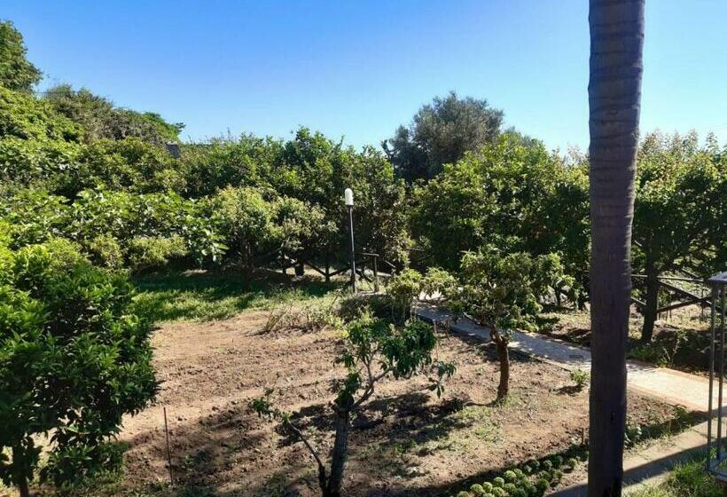 标准房带园景, Villa Grandiosa Fc