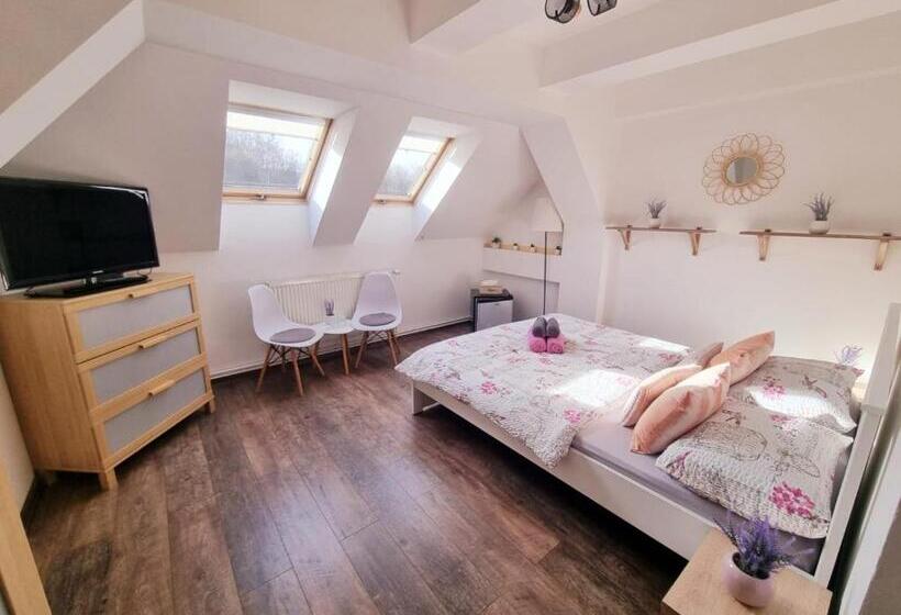 Номер Стандарт, Penzion Orion