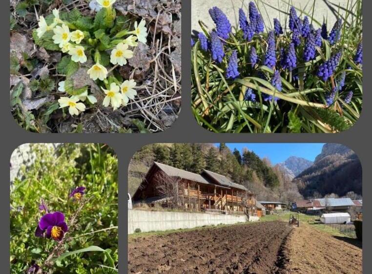Номер Стандарт Вид на Горы, Gîte Les 3 Cols