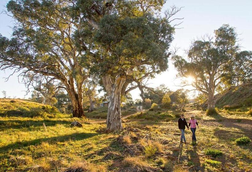 غرفة عائلية, Holowiliena Station & The Outback Blacksmith