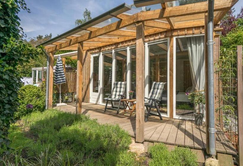 Номер Стандарт с Террасой, B&bveluwezoom