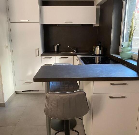 Апартаменты 1 Спальня, City House Bühl