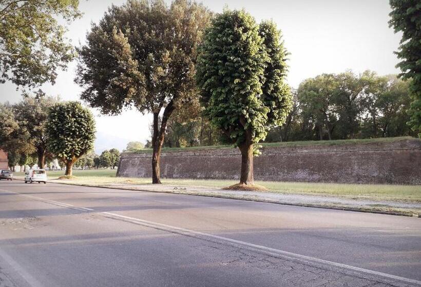 اتاق استاندارد با سرویس بهداشتی مشترک, Home Sweet Home Affittacamere   Lucca