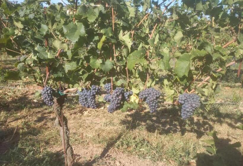 Апартаменты 1 Спальня Вид на Сад, Agriturismo Fioralba