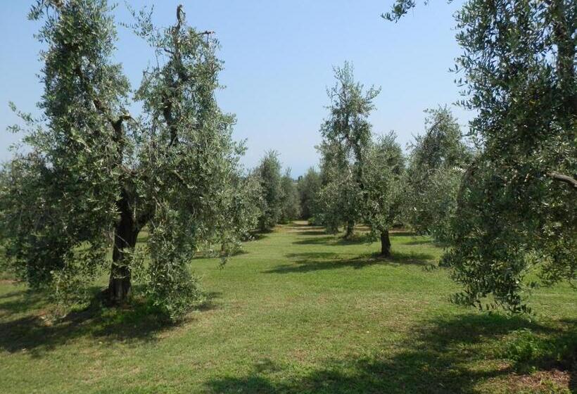 Апартаменты Superior 1 Спальня, Agriturismo Fioralba