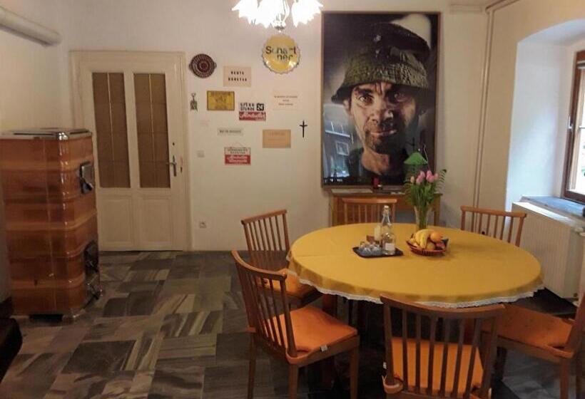 اتاق استاندارد با چشم‌انداز باغ, Haus Zum Prater