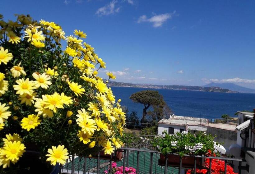 سوییت با چشم‌انداز دریا, B&b Dea Fortuna