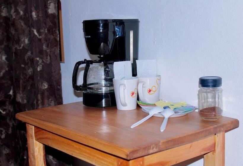 Quarto Estandar, Nicte Ha