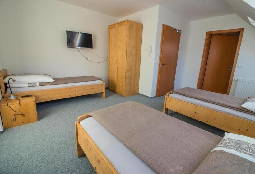 اتاق استاندارد سه تخته با چشم‌انداز باغ, Apartments & Rooms Pr  Skalovc