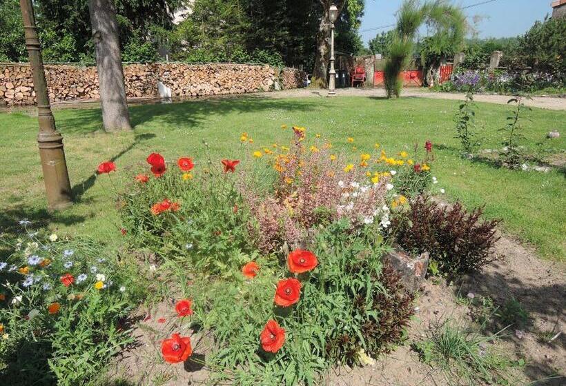 Номер Стандарт Вид на Сад, Bedloire