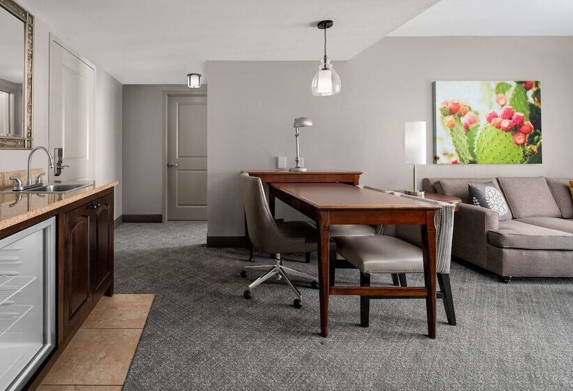 Suite Adapted for people with reduced mobility, Embassy Suites San Antonio Riverwalk Downtown
