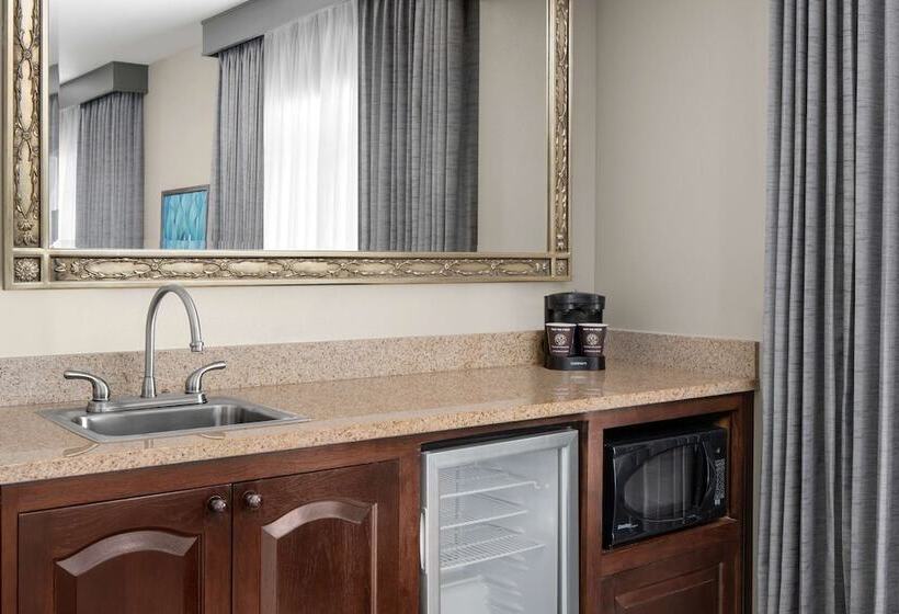 Suite Adapted for people with reduced mobility, Embassy Suites San Antonio Riverwalk Downtown