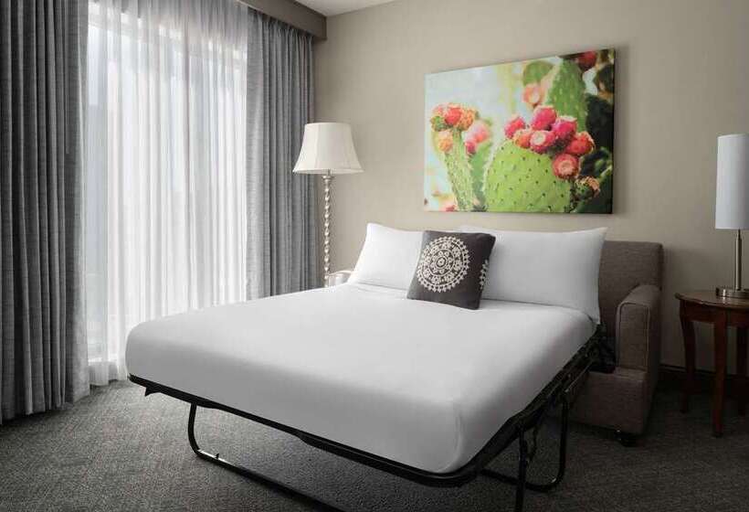 Suite Vista Rio, Embassy Suites San Antonio Riverwalk Downtown