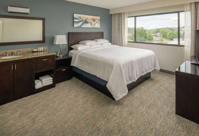 Suite 2 Dormitoris, Embassy Suites San Antonio Riverwalk Downtown