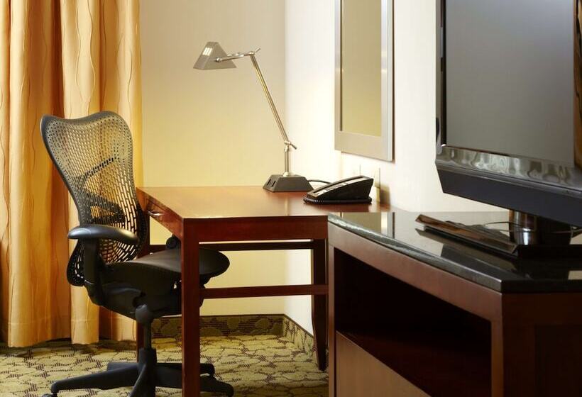 Habitació Estàndard, Hilton Garden Inn Dallas/arlington