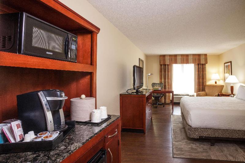Habitació Estàndard Llit King, Hilton Garden Inn Dallas/arlington