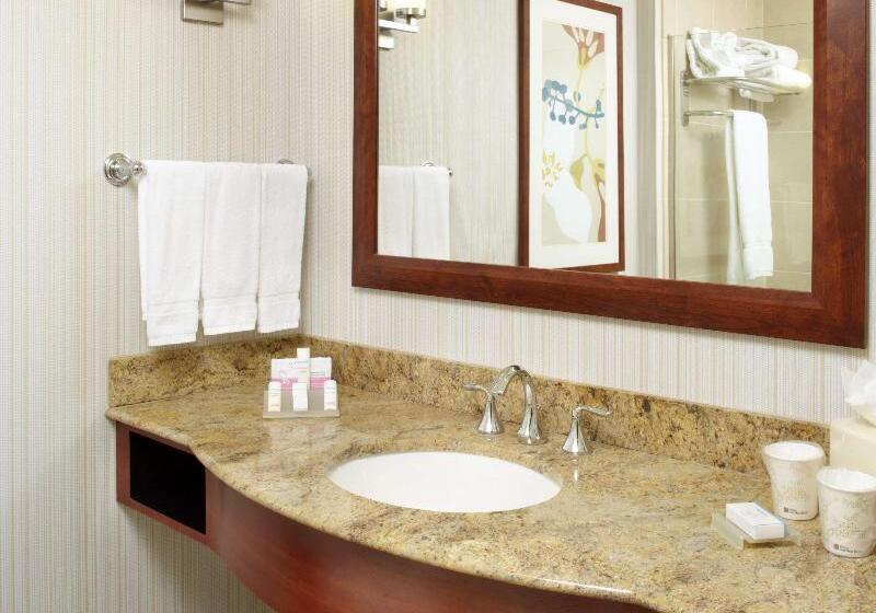 Habitació Estàndard Adaptada per a Discapacitats, Hilton Garden Inn Dallas/arlington