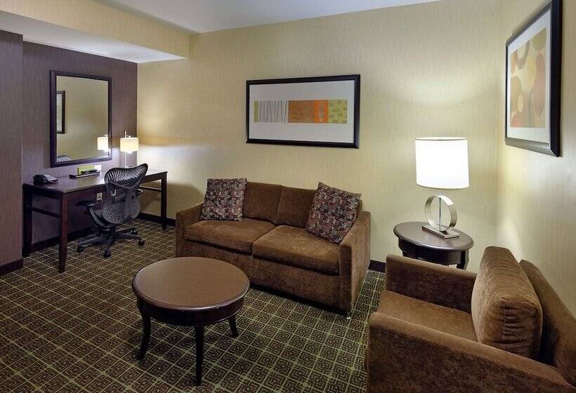 Люкс Адаптированный для Инвалидов, Hilton Garden Inn Springfield, Mo