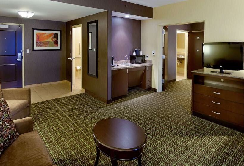 Люкс Адаптированный для Инвалидов, Hilton Garden Inn Springfield, Mo