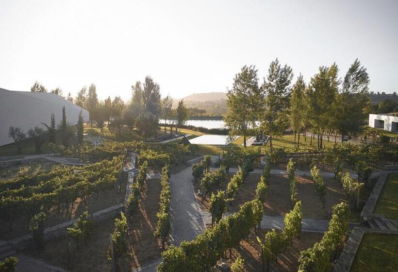 Люкс с Видом, L'and Vineyards