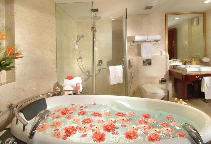 سوئیت رویال, Skycity Hotel Gurgaon