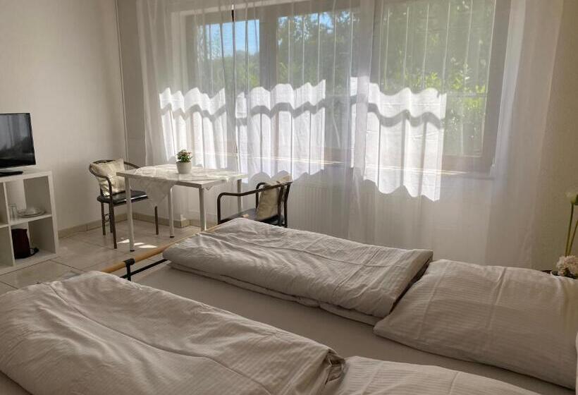 Номер Deluxe, Gästehaus Steinmann Großes Gästezimmer