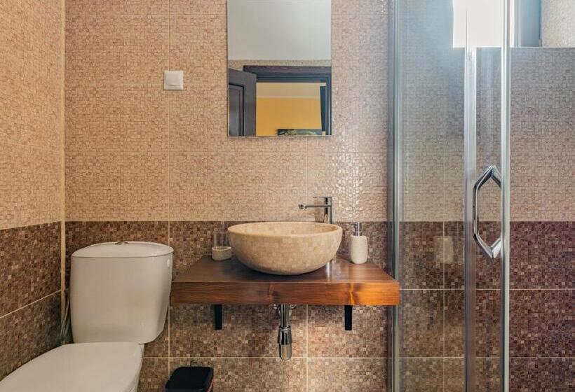 Номер Стандарт, Casa Saraste