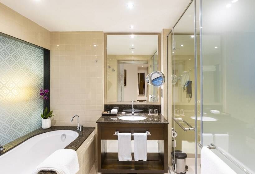 Полулюкс, Asiana Hotel Dubai