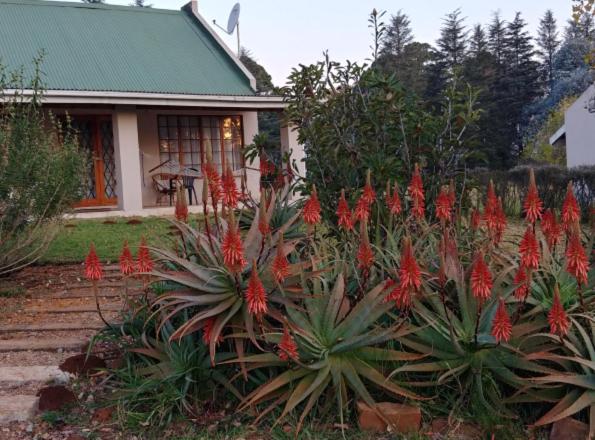 Шале 1 Спальня, Wild Hare Cottages