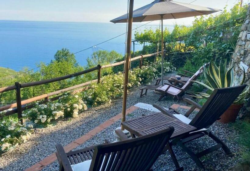 Apartamento 1 Dormitório com Terraço, Villa Pietrafiore