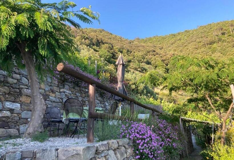 Apartamento 1 Dormitório com Terraço, Villa Pietrafiore