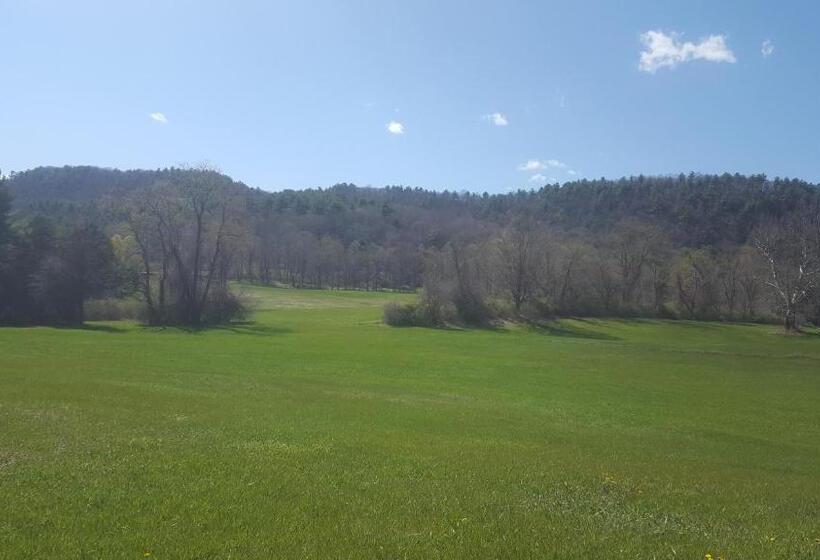 Номер Стандарт, A Meadow House