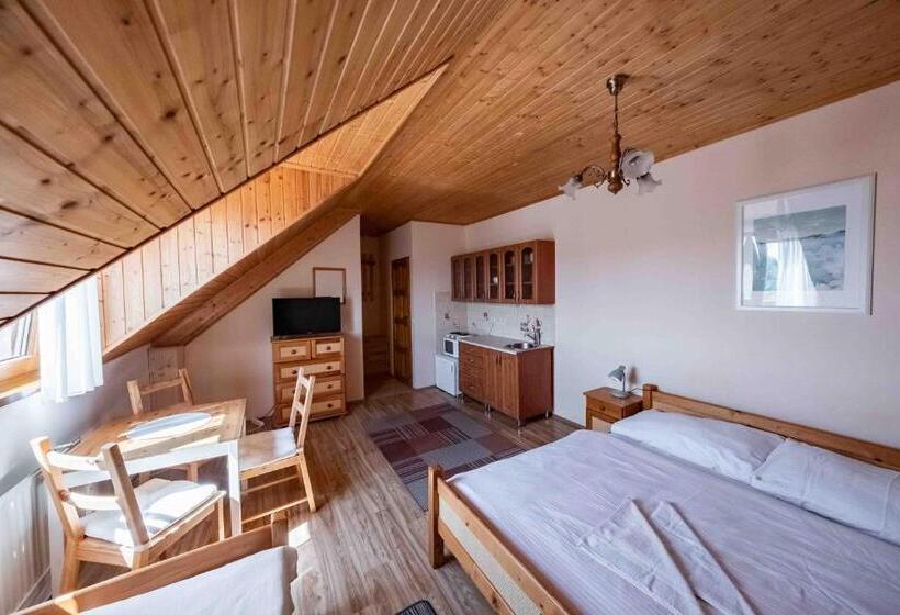 스탠다드 스튜디오 (전망), Apartmány V Müllerovom Dome