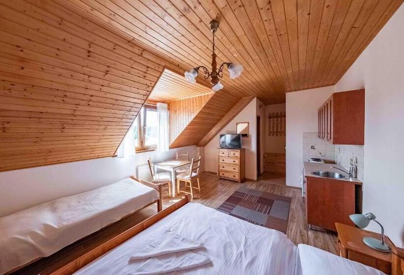 스탠다드 스튜디오 (전망), Apartmány V Müllerovom Dome